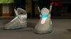 CG MAGs.png