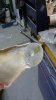 IMG-20150211-WA0011.jpeg