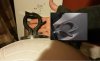 claw compare.jpg claw compare.jpg