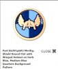 shield3.jpg