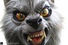 american-werewolf-transformed-into-puppy-8_1.jpg