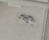 unknown _no1.jpg