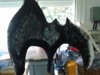 20130419_191156.jpg