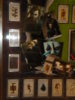 joker 2 004.JPG