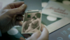 vlcsnap-2013-04-22-07h55m53s66.png