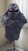 2013-04-23_15-12-58_11.jpg
