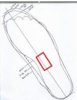 insole.jpg