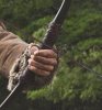 bow6.jpg bow6.jpg