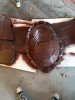 shell paint brown.jpg