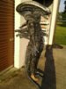 IMG_20130630_075817.jpeg