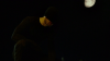 vlcsnap-2015-04-28-00h26m41s191.png