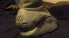 20150429_215103.jpg