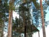 tree-hotel-mirrorcube-exterior.jpg
