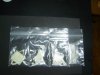DSC00261.JPG
