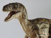 Raptor 02.jpg Raptor 02.jpg