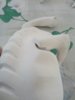 IMG_20130706_162657.jpg