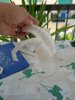 IMG_20130706_163219.jpg