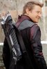 Hawkeye - Shot of Rear of Collars for Tunic and Undershirt.jpg