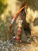 connor_s_bow_arrows_quiver_and_tomahawk___ac_iii_by_blastflame-d8w3d3z.jpg
