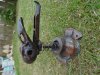 DSC00453.JPG