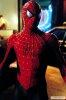 kinopoisk.ru-Spider-Man-1410915.jpg
