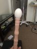 IMG_7867.jpeg