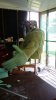20150628_173615.jpg