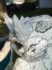 Skull-11.jpg Skull-11.jpg