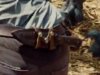 Jurassic-World-Global-trailer-01-1280x640a.jpg