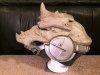 Skull-Final2.JPG Skull-Final2.JPG