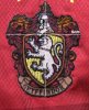 badge size.jpg