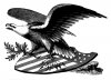 american-eagle-on-shield-e1426654735818.jpg