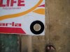 DSCN7384.JPG