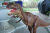 t rex 003.jpg