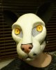 CatfaceWIP1.jpg CatfaceWIP1.jpg