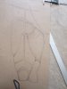 Before the cutting.JPG