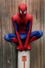 Spiderman 1.jpg