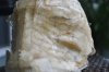 DSC_0149.JPG DSC_0149.JPG