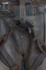 Escape Hatch.jpg