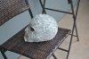 DSC_0127.JPG DSC_0127.JPG