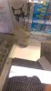 IMAG0441.jpg