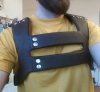 harness4.jpg