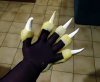 CatHandGloves3.jpg