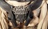 Codpiece and Holster Detail.jpg