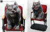 american-werewolf-transformed-into-puppy-1_1.jpg