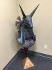 Anubis_Statue.jpg
