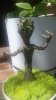 groot 04.jpg