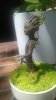 groot01.jpg