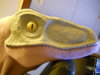 DSCN1480.JPG