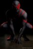 Spiderman.jpg